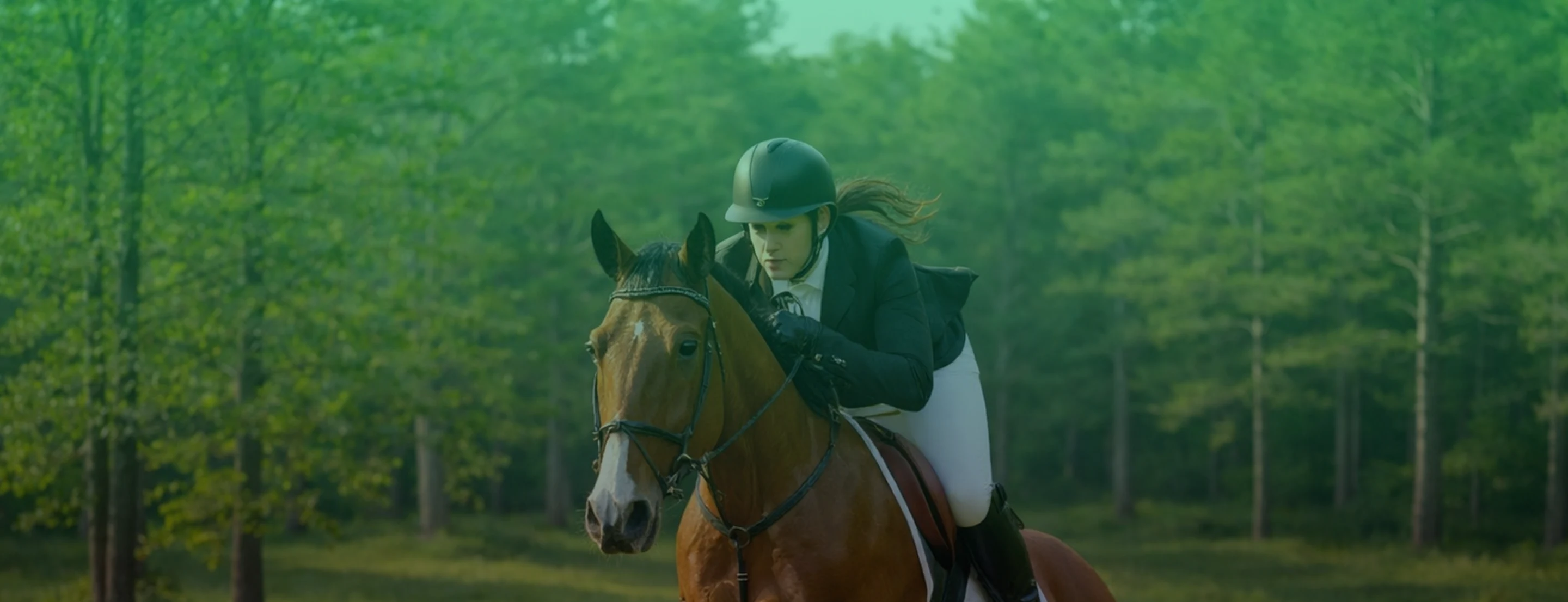 Portfolio Hero Background