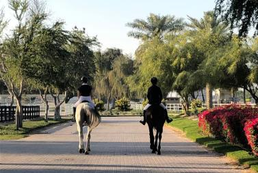 Alhamra Equestrian Academy