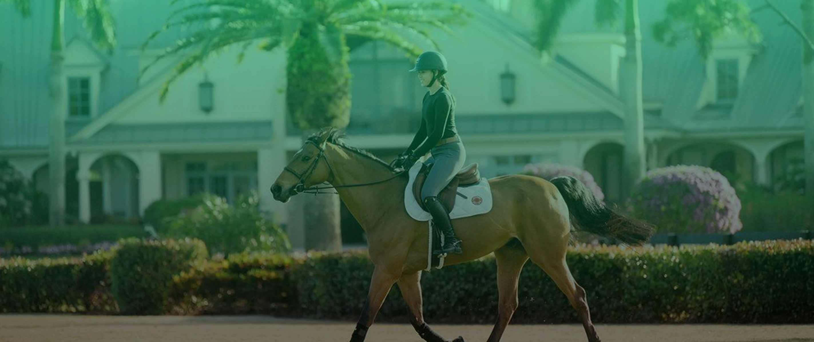 Service Hero Background